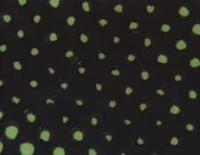 Приятно видеть вас